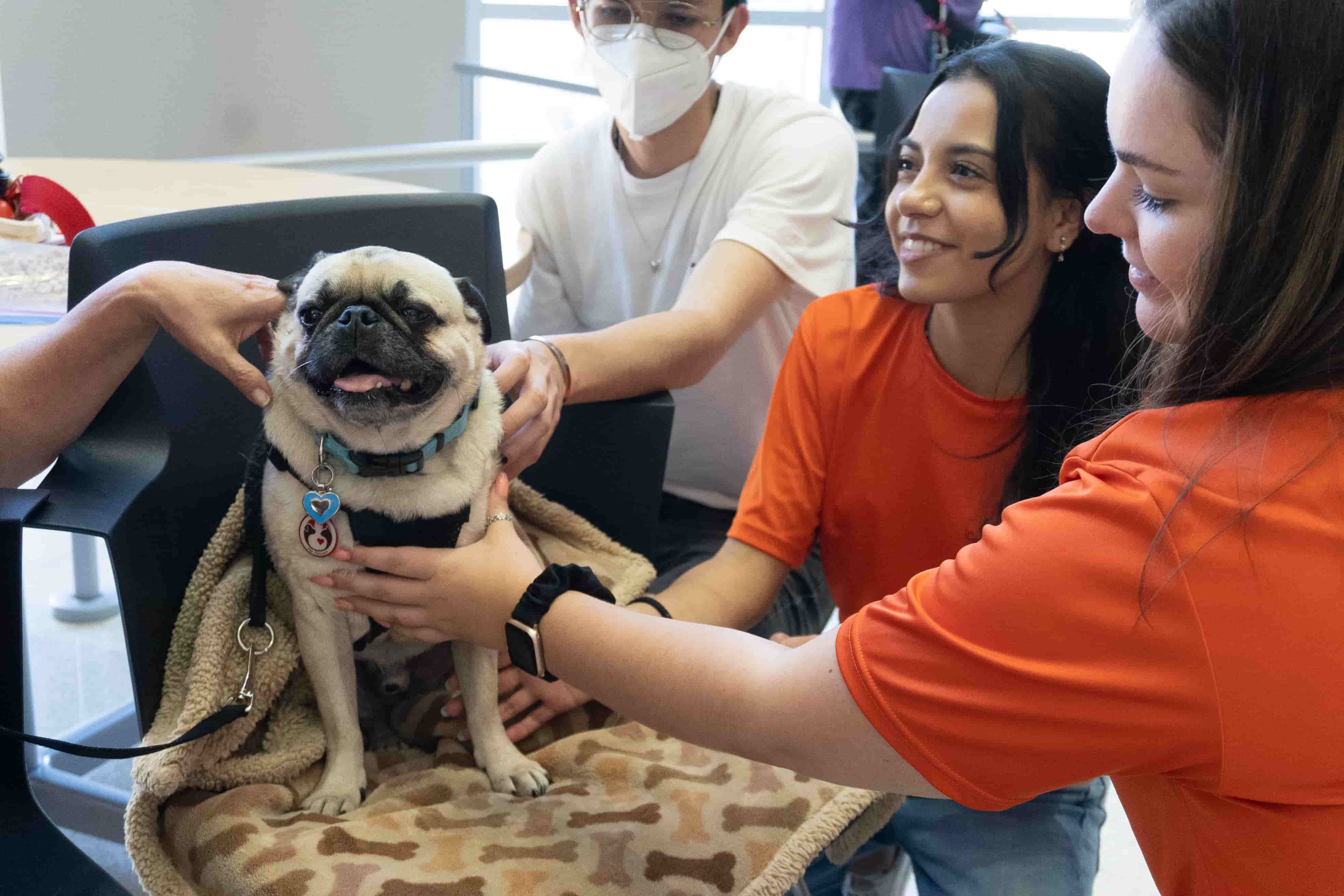 Therapy Dog Event